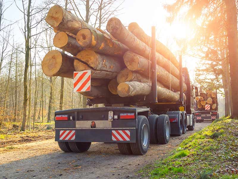 Holztransporte in Wald am Arlberg